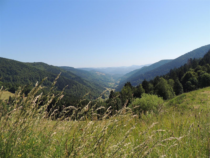 Panorama du col de Bagenelles