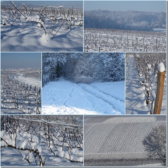 neige le 8 février 20182