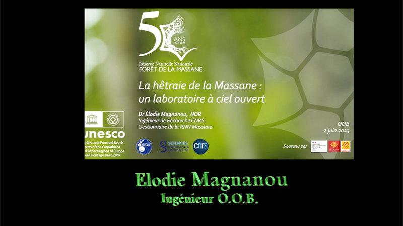 20230702-Massane EM