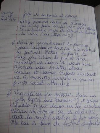 gelee_citron_lavande_recette__01