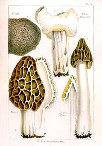 EPM_Plate_09