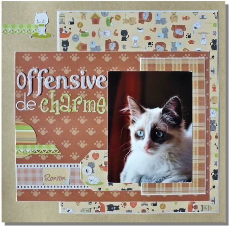 Offensive-charme