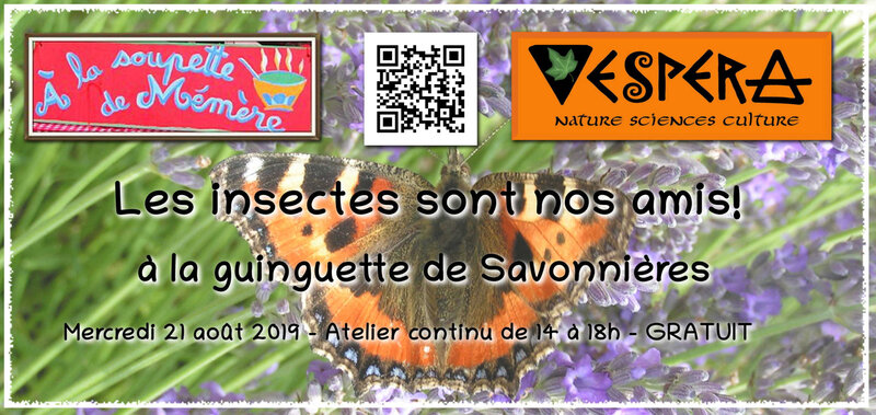 logo soupette 7