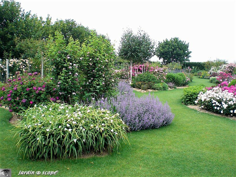 Visite du nouveau jardin…