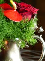 les fleurs chez moi (68)