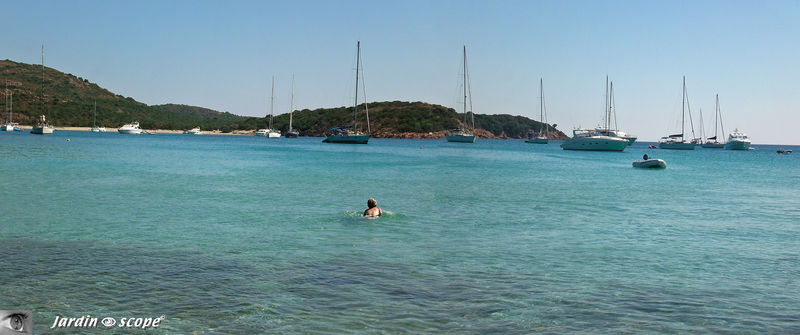 Panorama_rodinara
