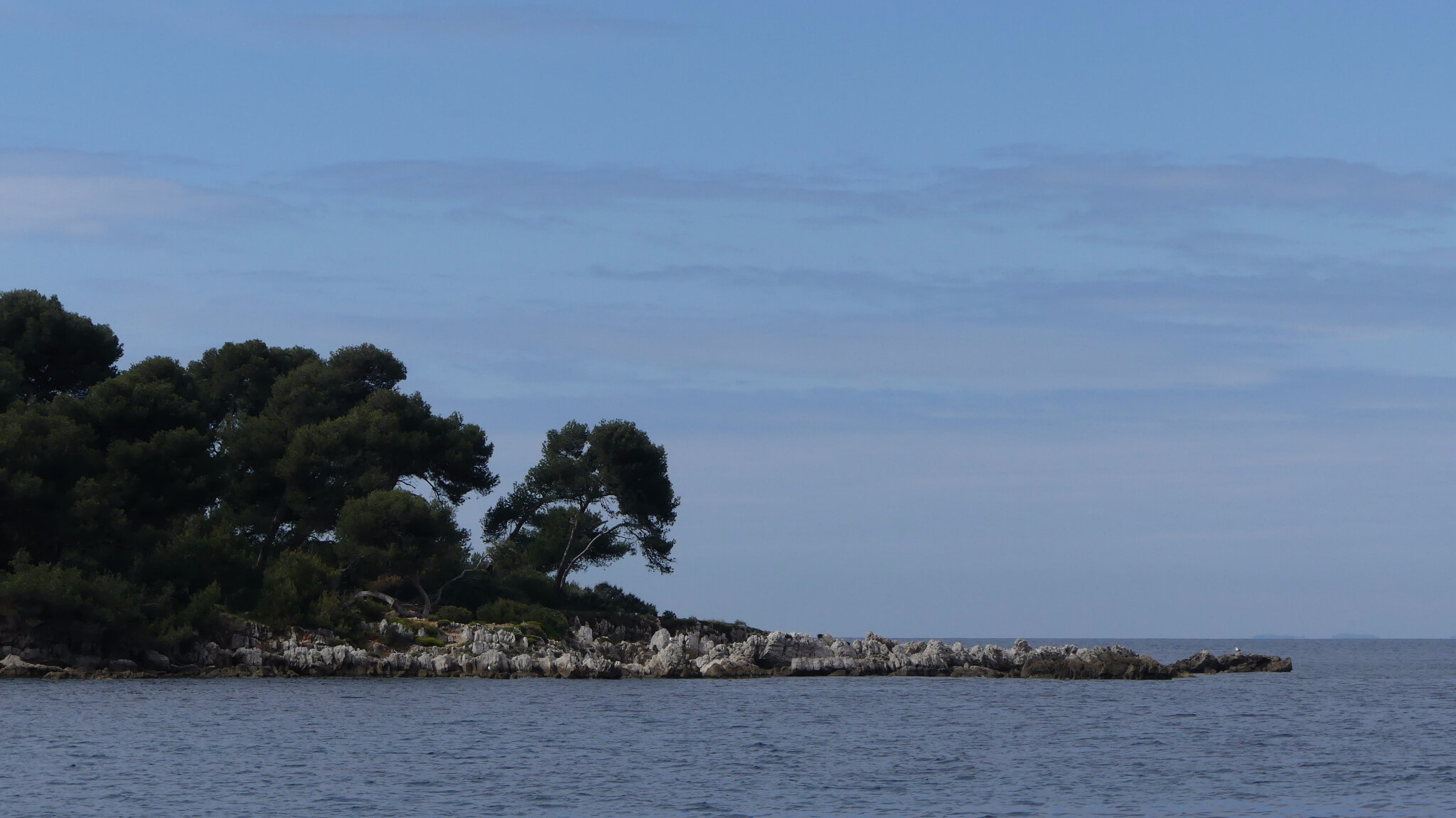 P1010170 - Copie