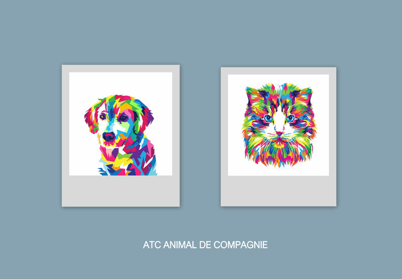 ILLUSTRATIONS