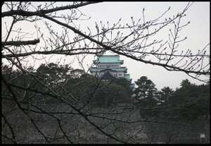3_Nagoya_Chateau