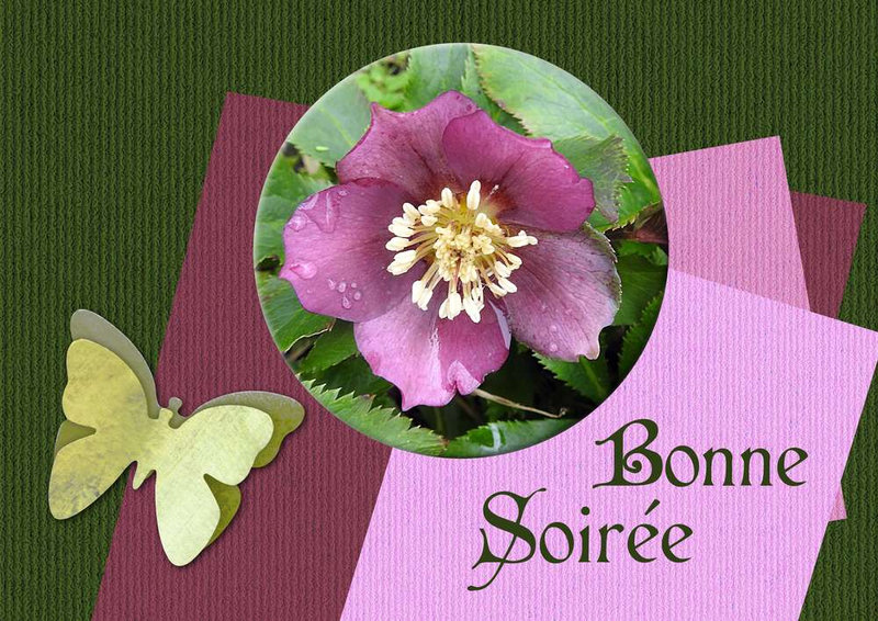 20-2-1c-BONNE_SOIREE