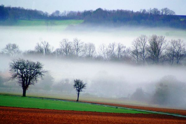 Viville brouillard (2)