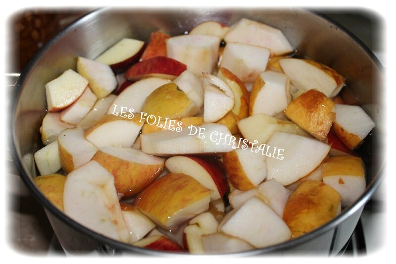 Gelée de pommes 2