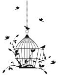 15218077-oiseaux-libres-avec-cage-ouverte-fond-vecteur