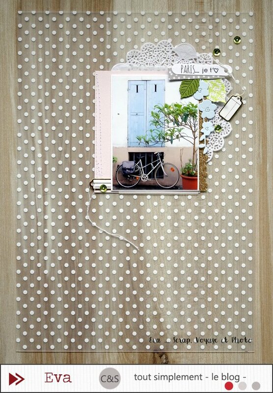 CS transparence (1) - Copie