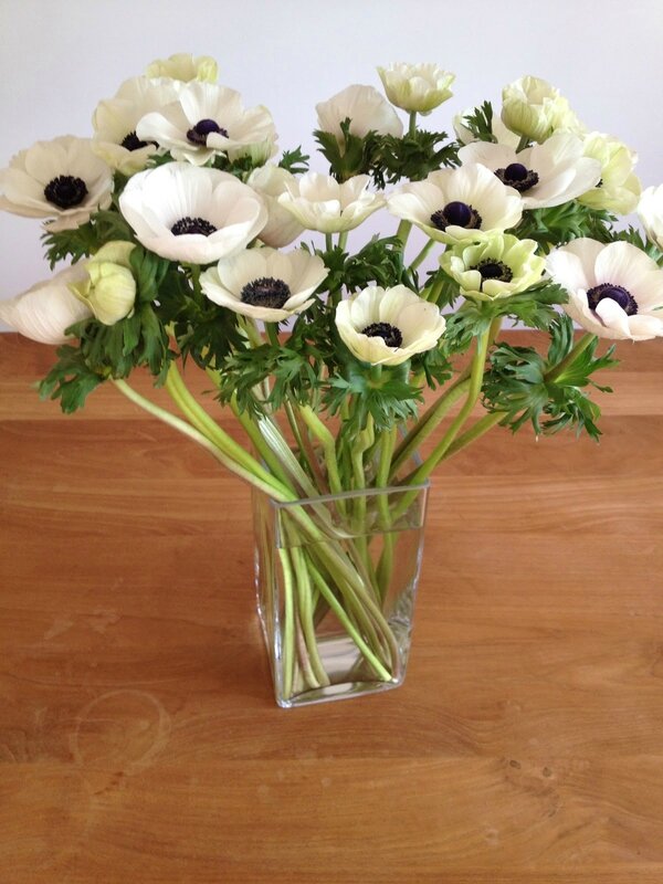 anemones