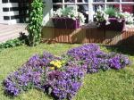 IMG_24878R