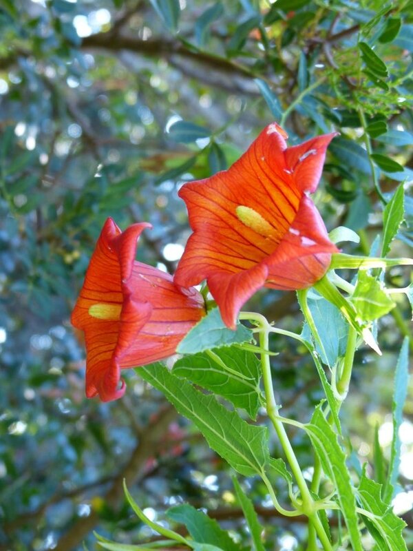 P1200172