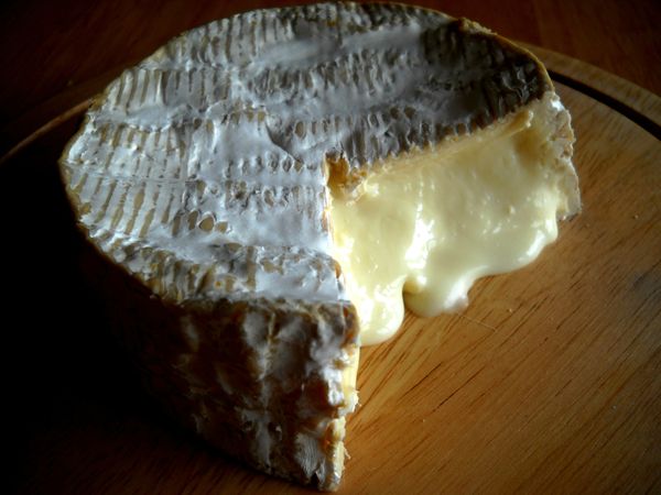 Camembert