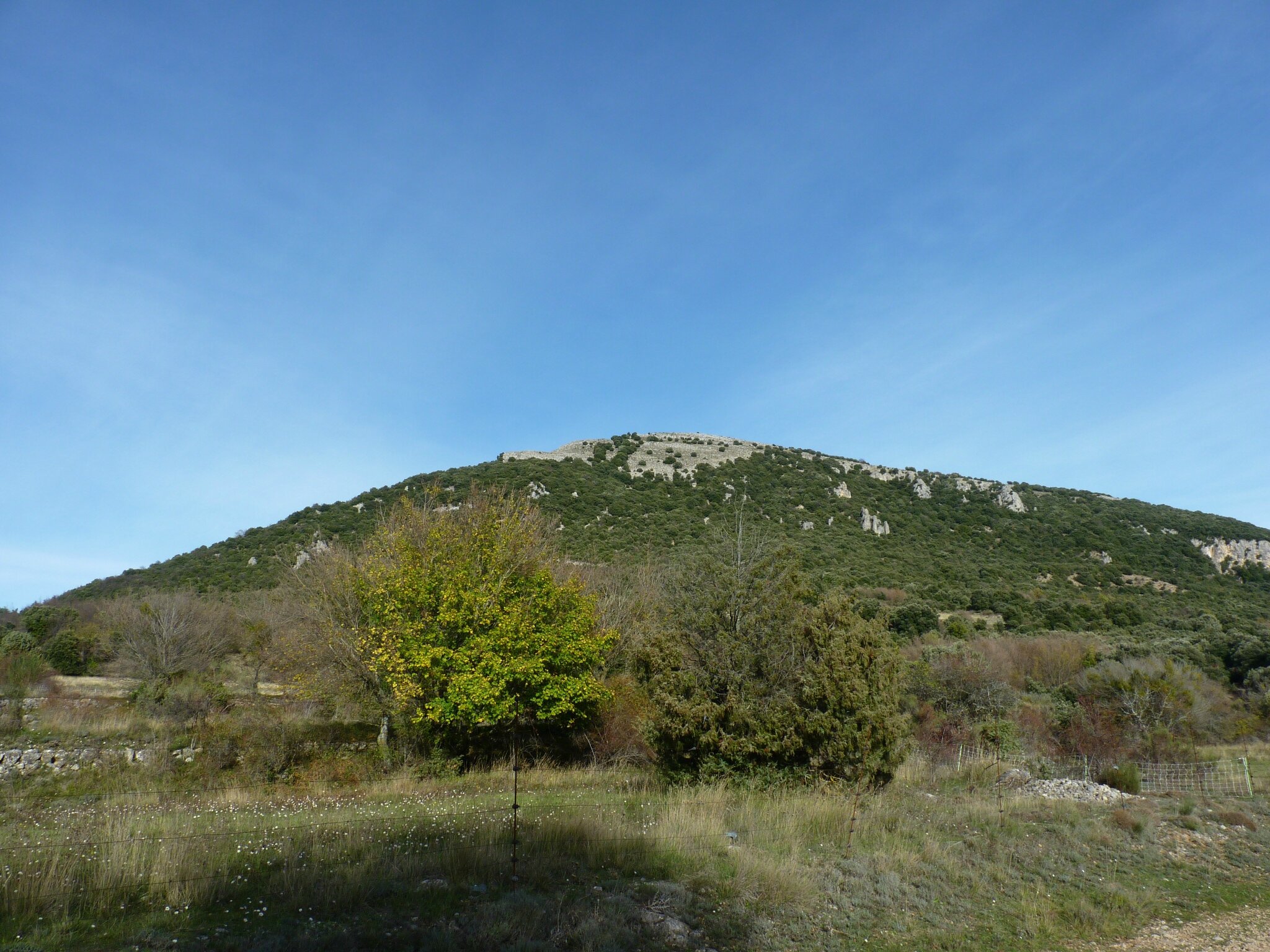 P1080450