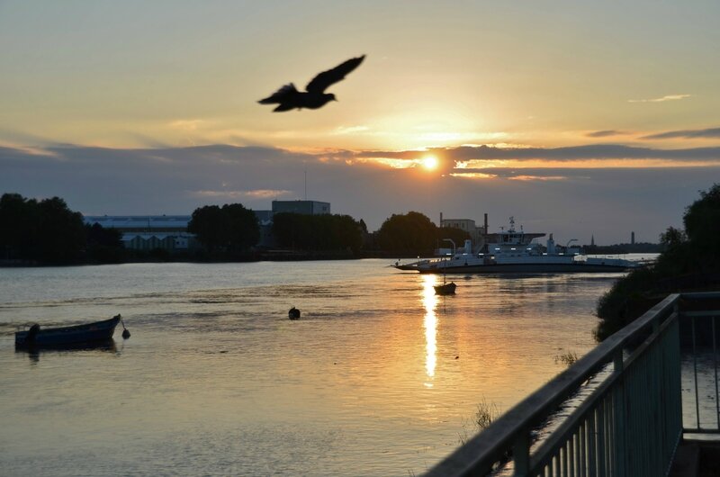 indre bord de loire2