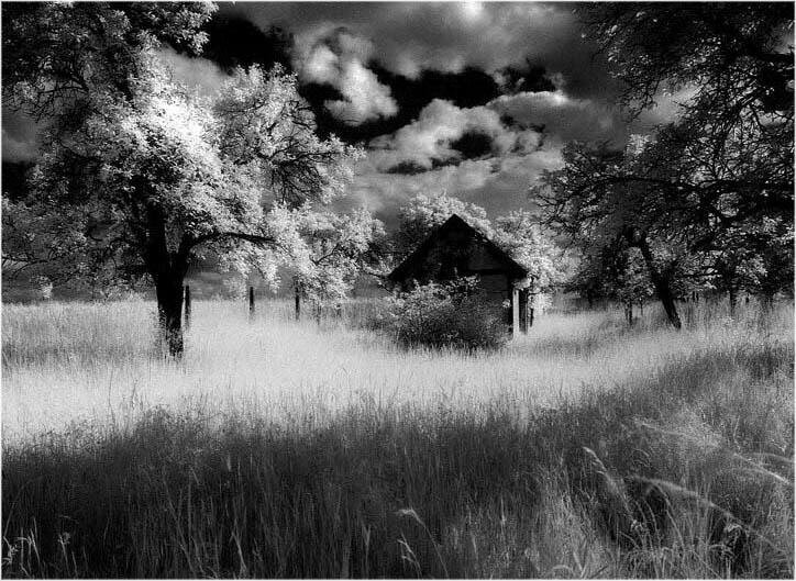 Black-and-white_photo_made_with_infrared_photography