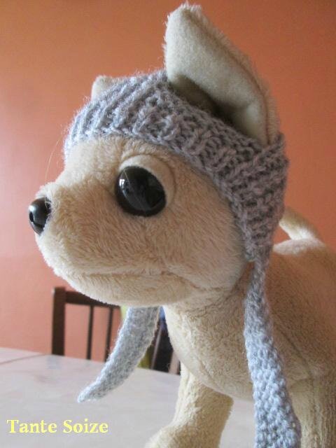 tricoter un bonnet pour chien