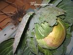 Salade_vend_enne_au_chou_blanc_du_jardin_002