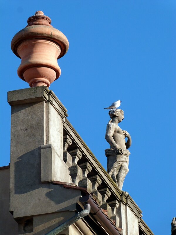 Florence4