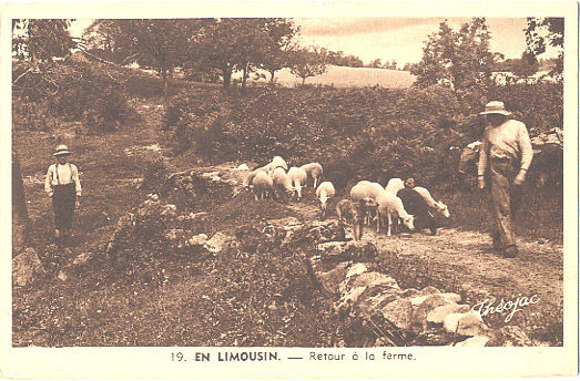 Berger et ses moutons