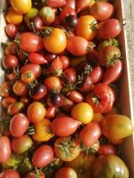 tomate mélange