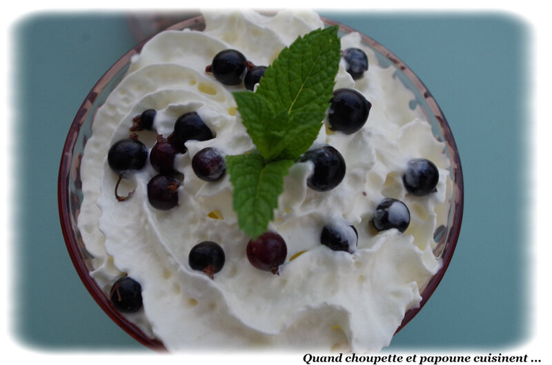 coupe glacée à la vanille et cassis du jardin-0021