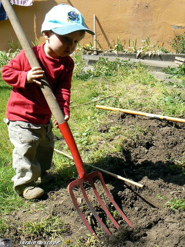Jardinier en herbe...!