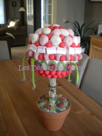 DSCN4757bis