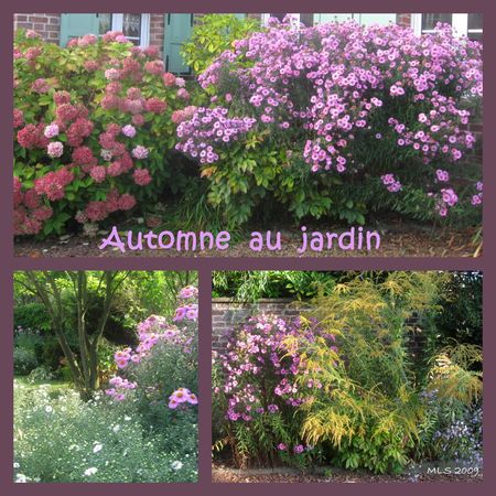 automne_jardin1