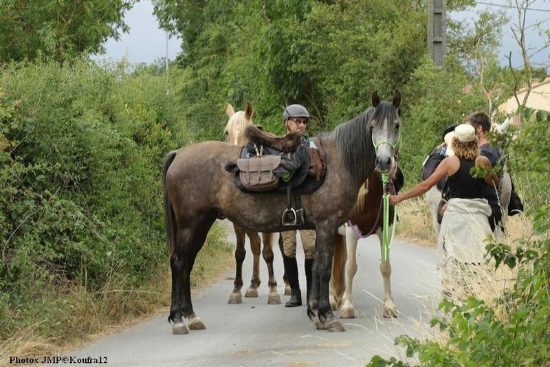 Photos JMP©Koufra 12 - La route du sel - 30072017 - 143