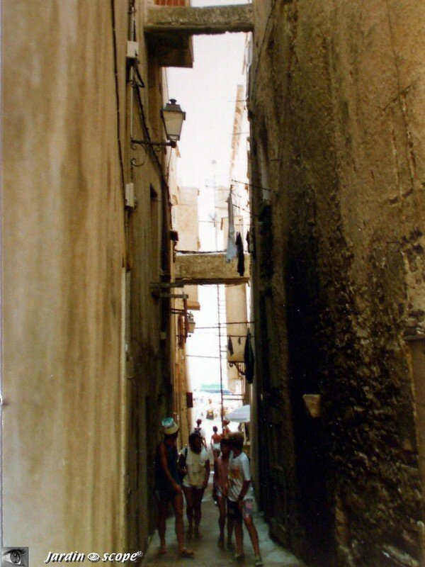Bonifacio - Ruelle dans la ville haute
