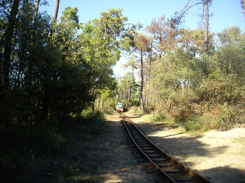 Gatseau (17)