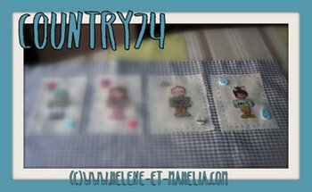18 country74_salavr19