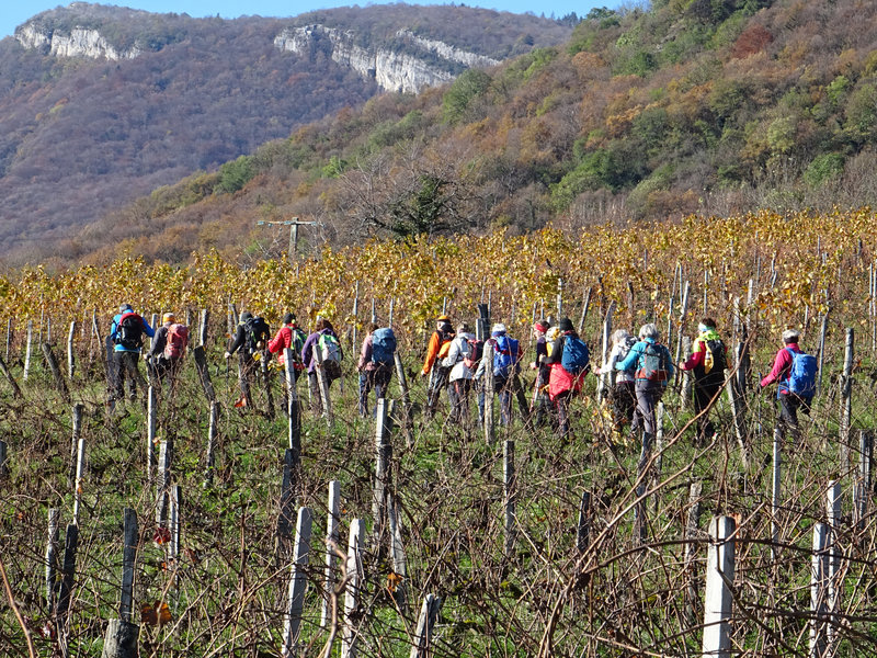 Montlambert (14)