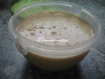 Glace au melon du jardin au mascarpone 007