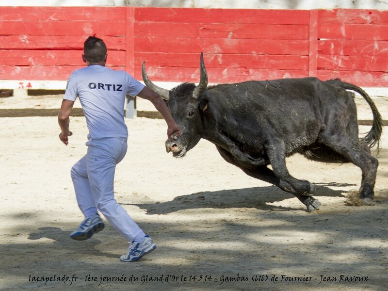 montfrin le 13 04 201420140414000841