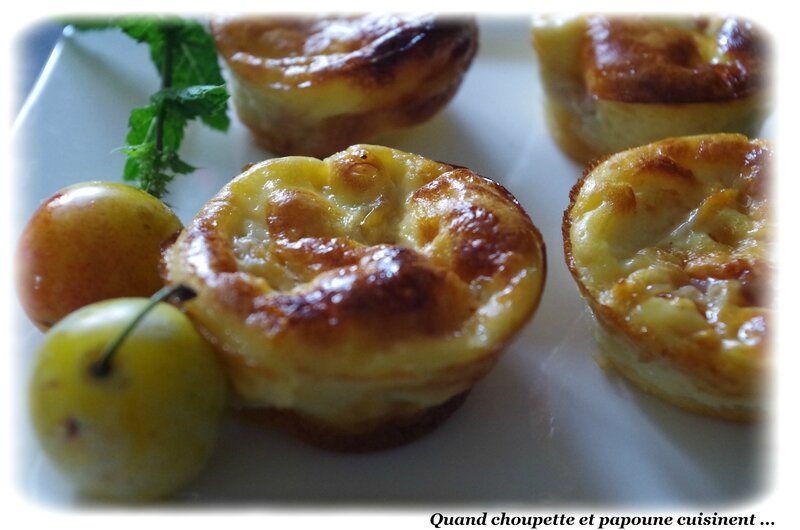 flan aux petits fruits d'or-851