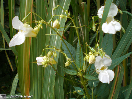 CIMG0333