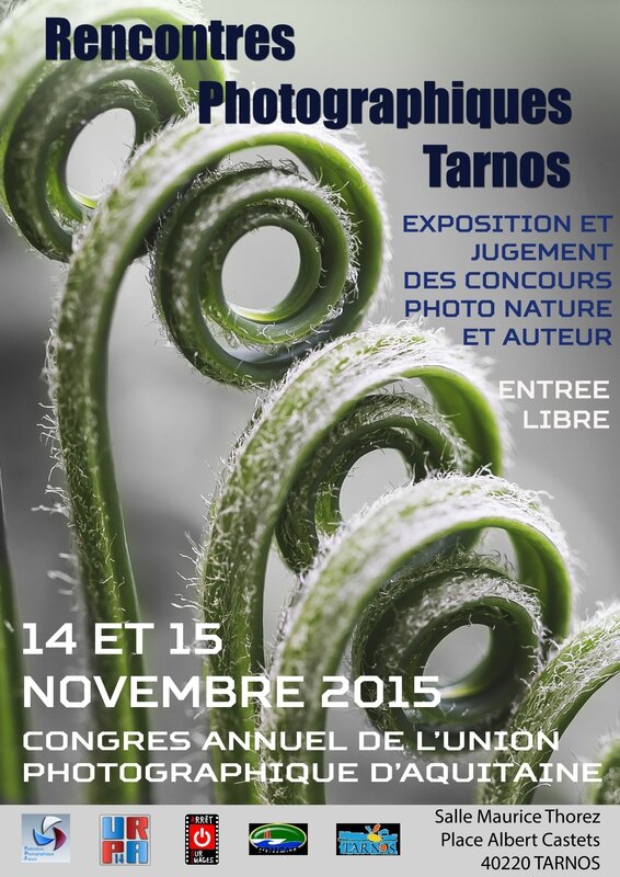 Affiche congrès 2 2015