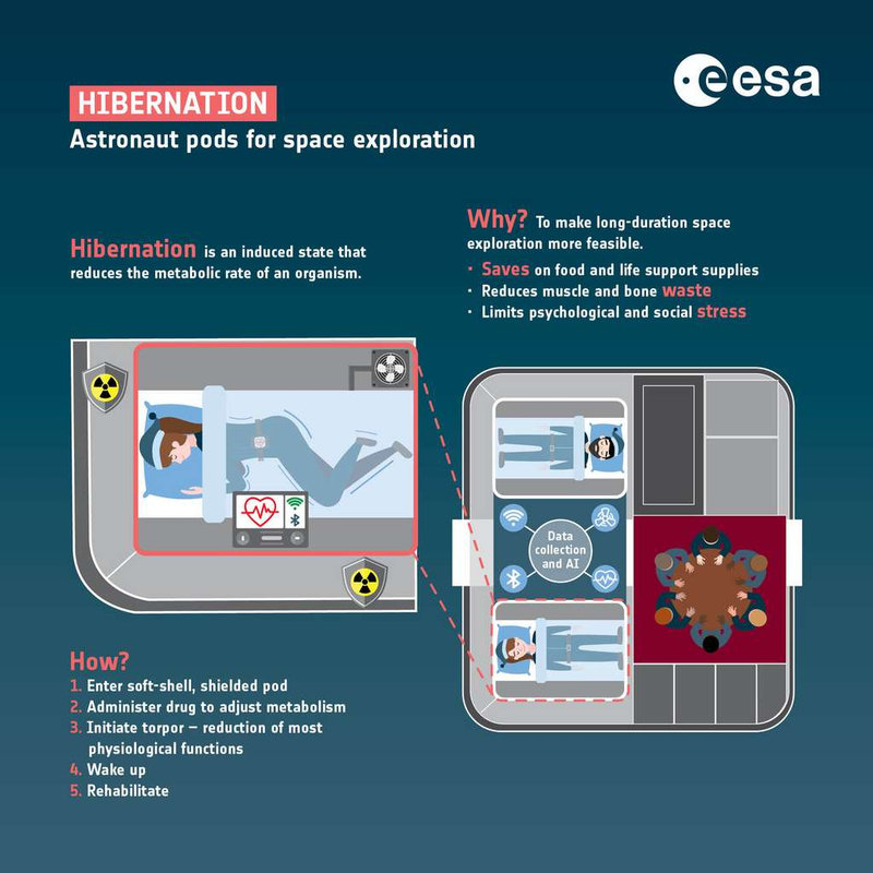 1024b23892_50186043_hibernation-ours-astronautes