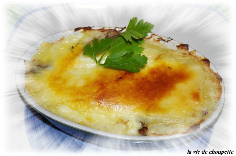 HACHIS PARMENTIER CANARD + photo feu 002