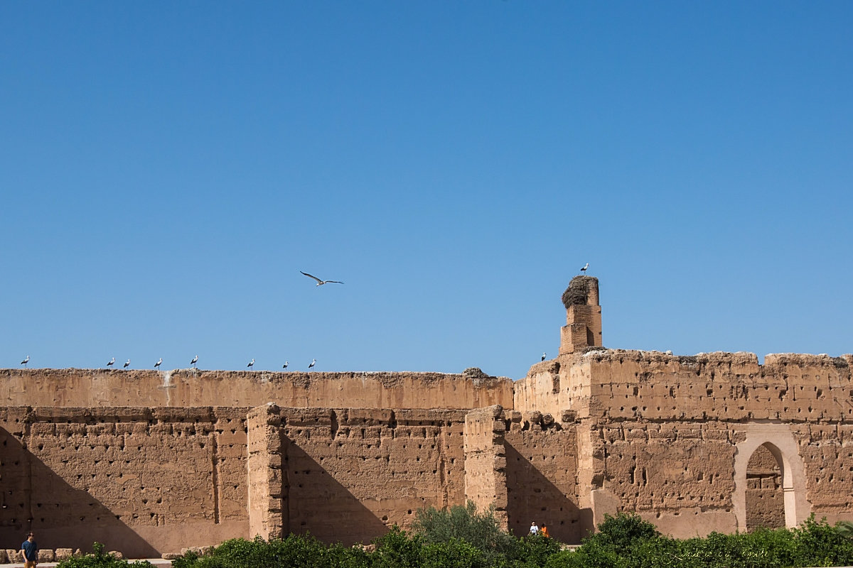 wb_Marrakech Palais El Badi cigognes_20170929_7533