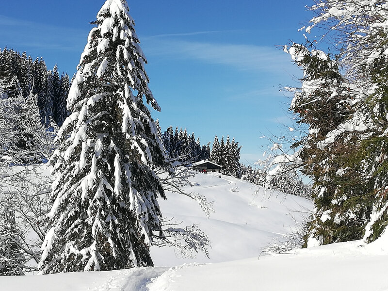 Creux de Lachat 19 janvier 2021 (18)