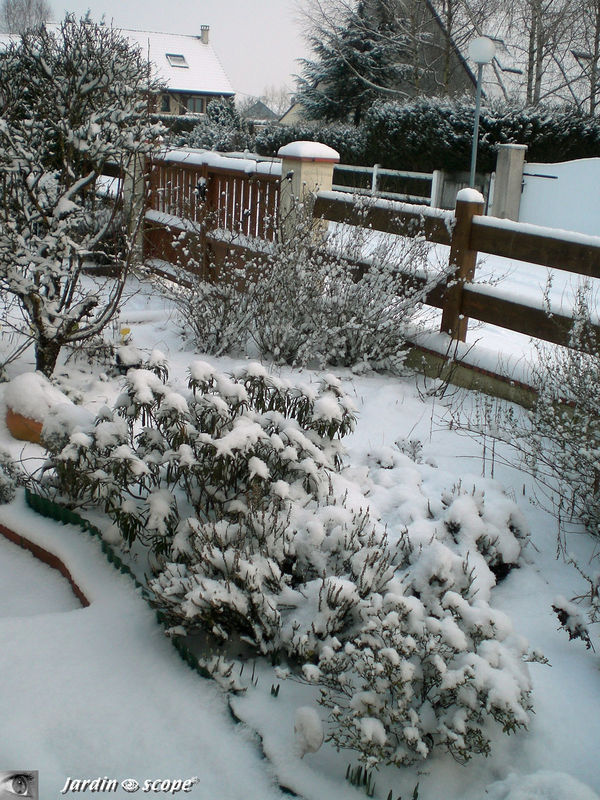 Le jardin sous la neige Hiver 2009 - 2010