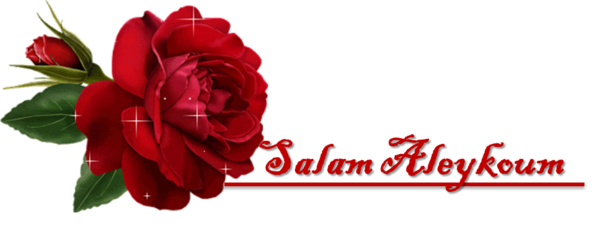 salam 2